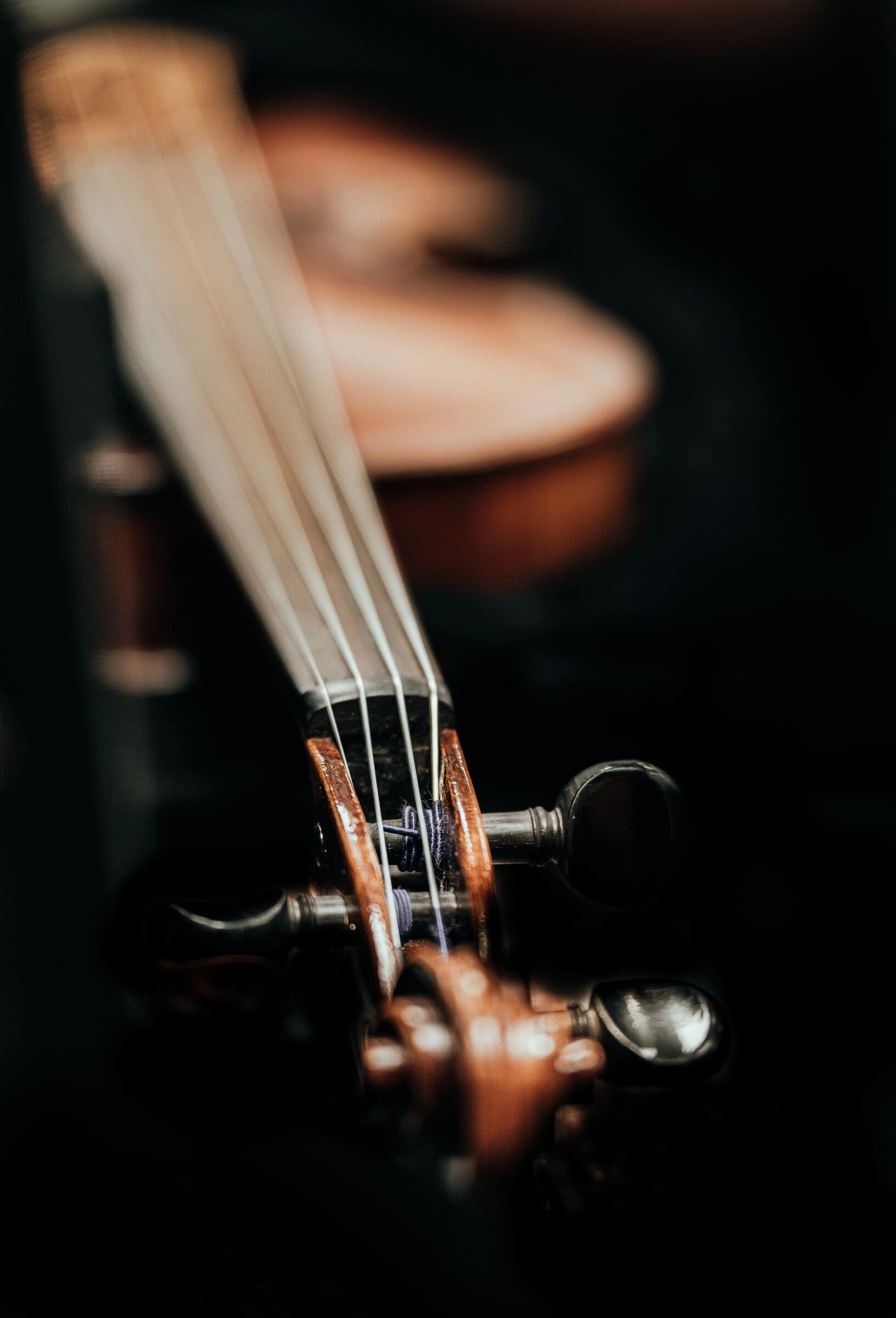 Violon gros plan cordes lumière chaude