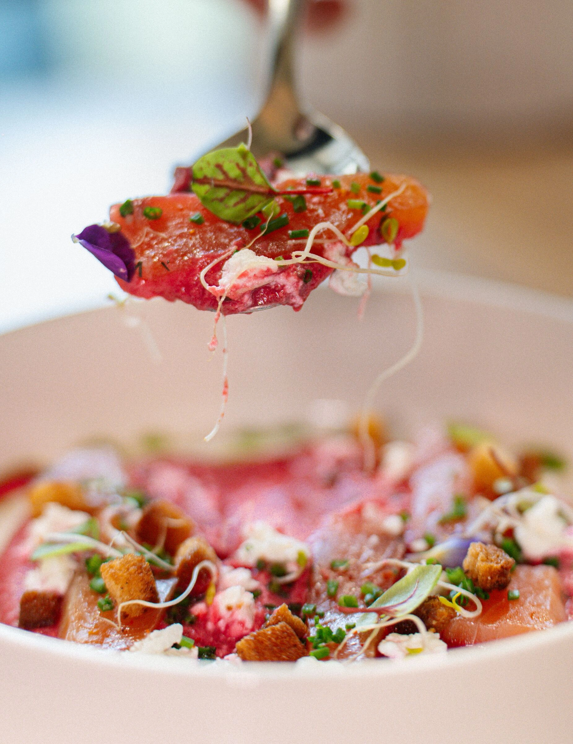 Tartare fourchette gros plan