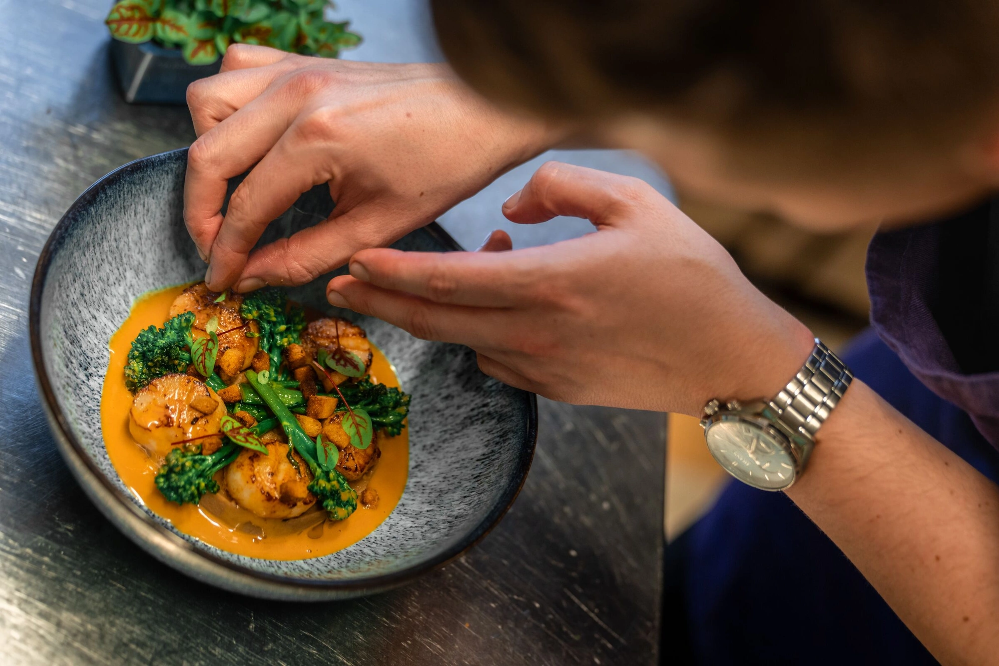 Dressage chef saint-jacques